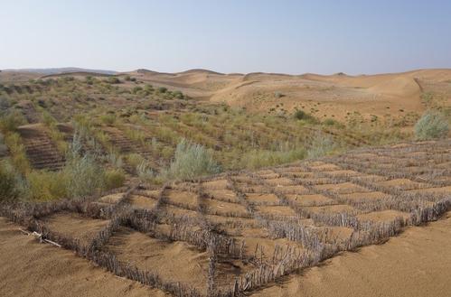 “大中亚地区荒漠化综合治理和生计保障”培训班