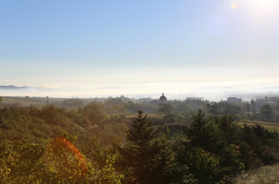 China has adopted the “Forest Chief” Scheme