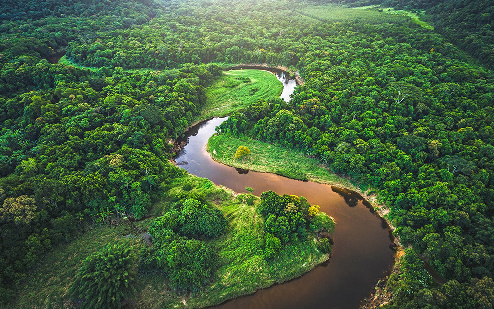 Why there are so many inconsistencies in estimating global forest cover?