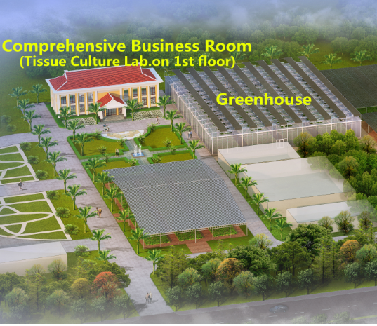 Establishment of a High Value Tree Species Breeding Center in Cambodia 