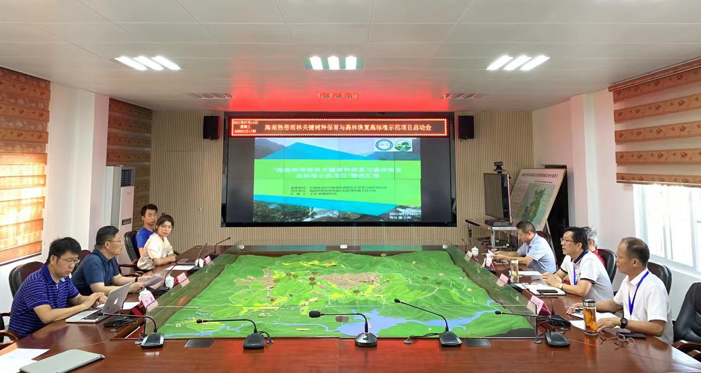 海南热带雨林关键树种保育与森林恢复高标准示范项目正式启动