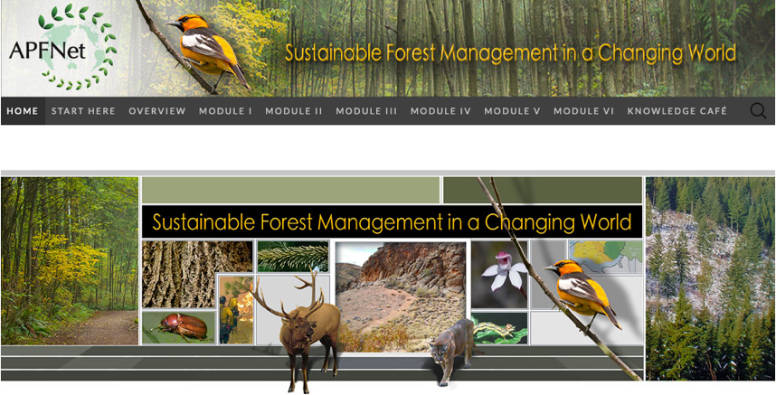 Building back better with the explorations in online, digital, and technology-based forestry education