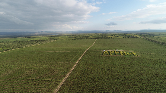 APFNet’s efforts in combatting desertification and drought