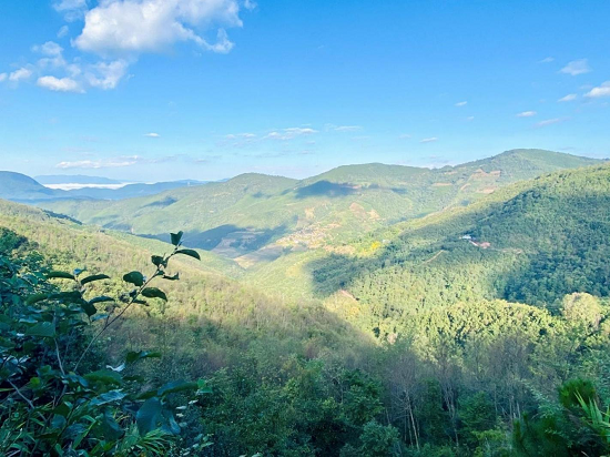 New integrated models for planning and managing commercial and public welfare forests in Pu’er