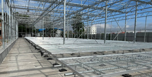 The progress of “Establishment of a High-Value Tree Species Breeding Center in Cambodia” in the second year