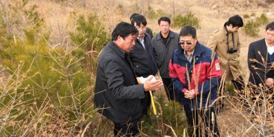 APFNet Pilot Project of Multifunctional Forests Launched