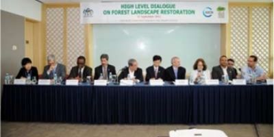 亚太森林组织参加世界自然保护联盟世界自然保护大会