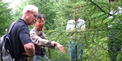 多功能林业示范项目中期进展顺利