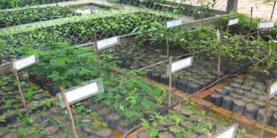 柬埔寨退化林地多功能恢复与管理项目”中期评估进展顺利