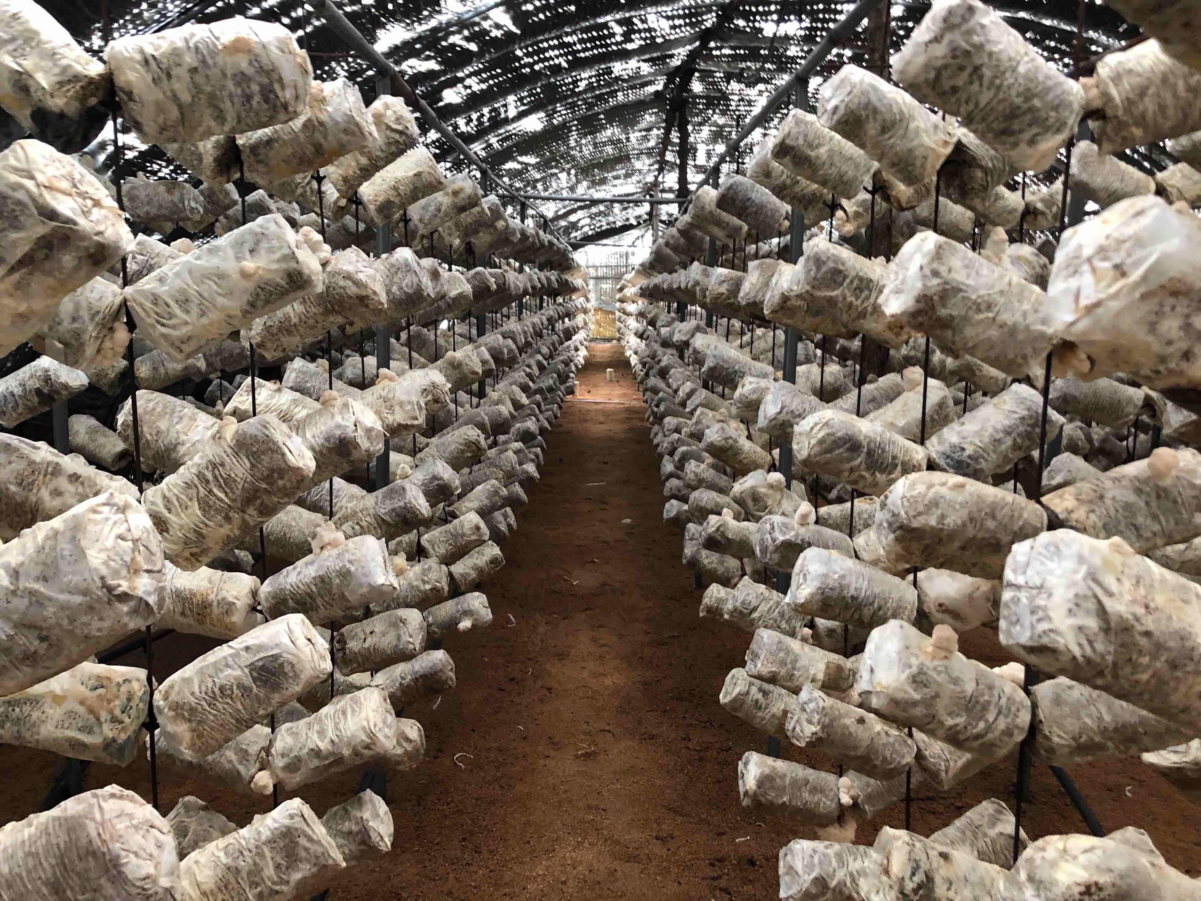 亚太森林组织中国区项目成果经验交流会成功举办