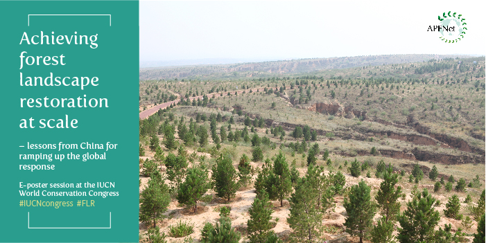 Achieving forest landscape restoration at scale – Join APFNet at the IUCN World Conservation Congress!